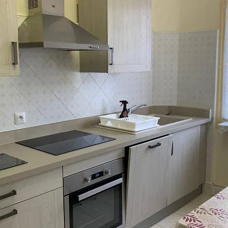F2 Avec Jardin Et Climatisation A - Fr-1-703-148 Amelie-les-Bains-Palalda